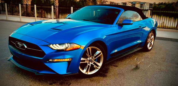 MUSTANG EQUIPADO